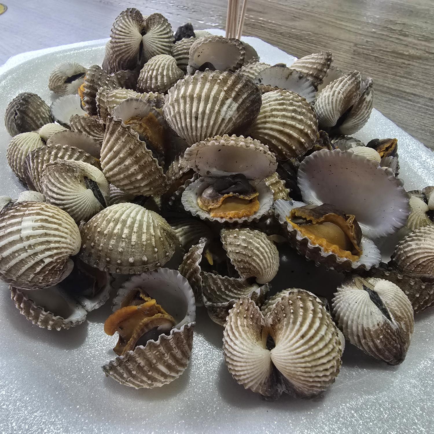 Kerang