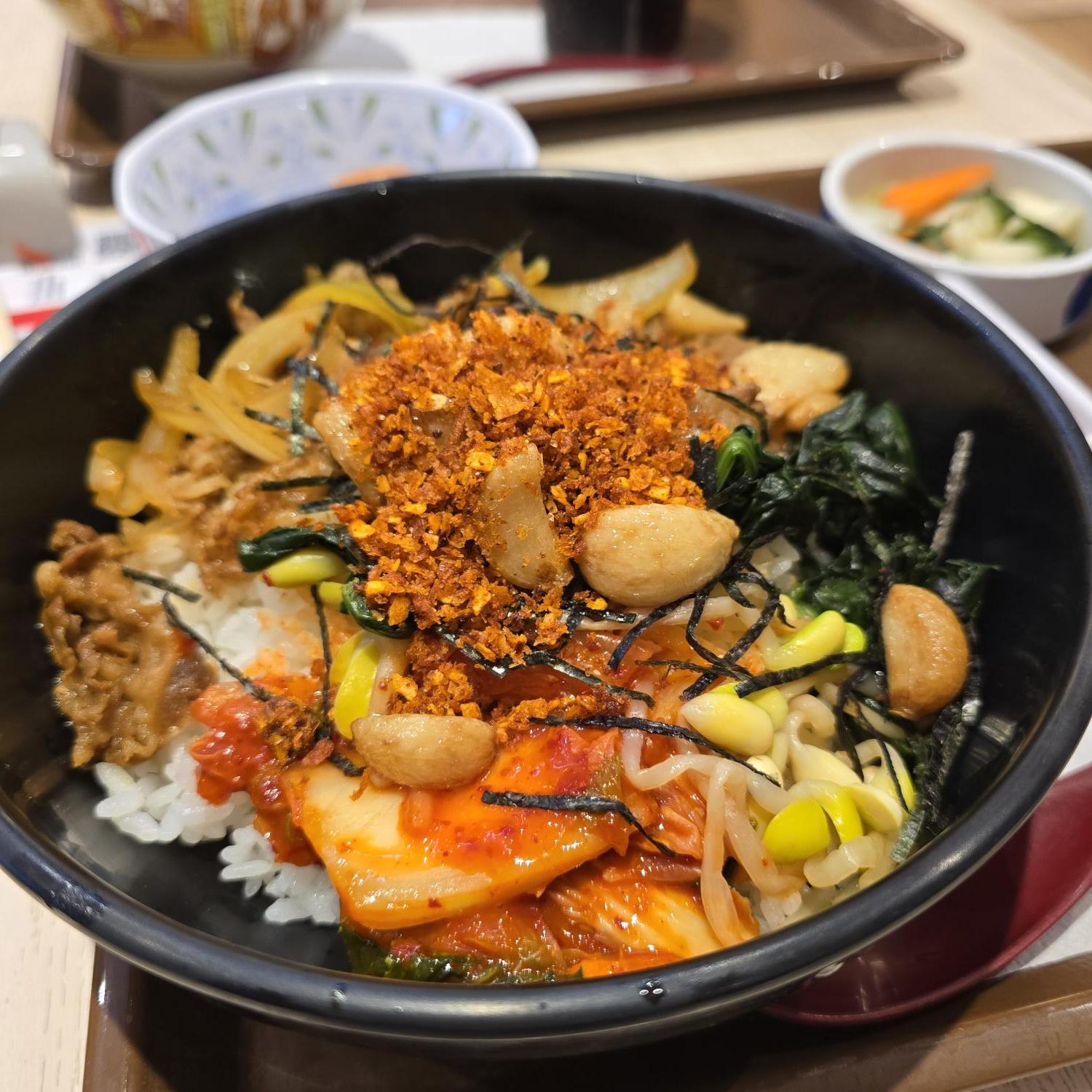 Fried Garlic & Chili Garlic Flakes Beef Yakiniku Bibimbap