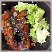 Unagi Don
