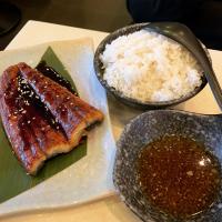 Unagi Kabayaki