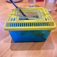 Tanks for the Memories Mocktail