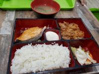Salmon and Chicken Teriyaki Bento